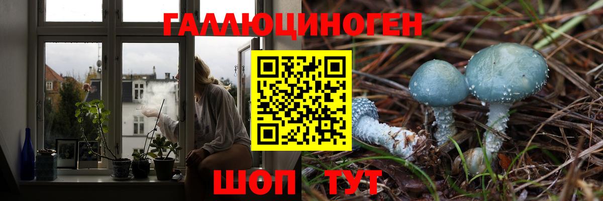 Галлюциногенные грибы прущие грибы  Вход с VPN  Галлюциногенные грибы ЛСД  Рубцовск 